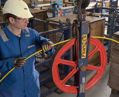 wellwatcher briteblue|Schlumberger launches WellWatcher fiber optic for heavy oil .